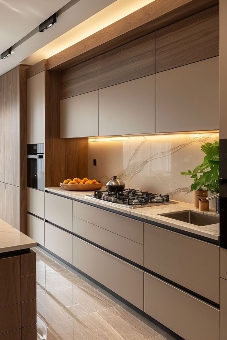 Modular Kitchen